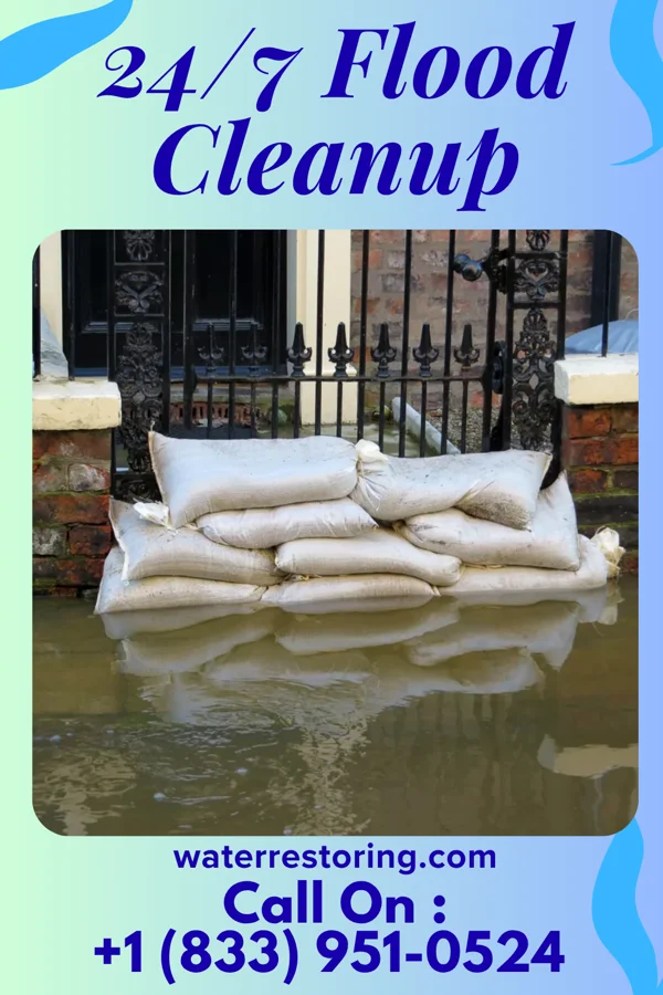 24/7 Flood Cleanup in Denmark, SC