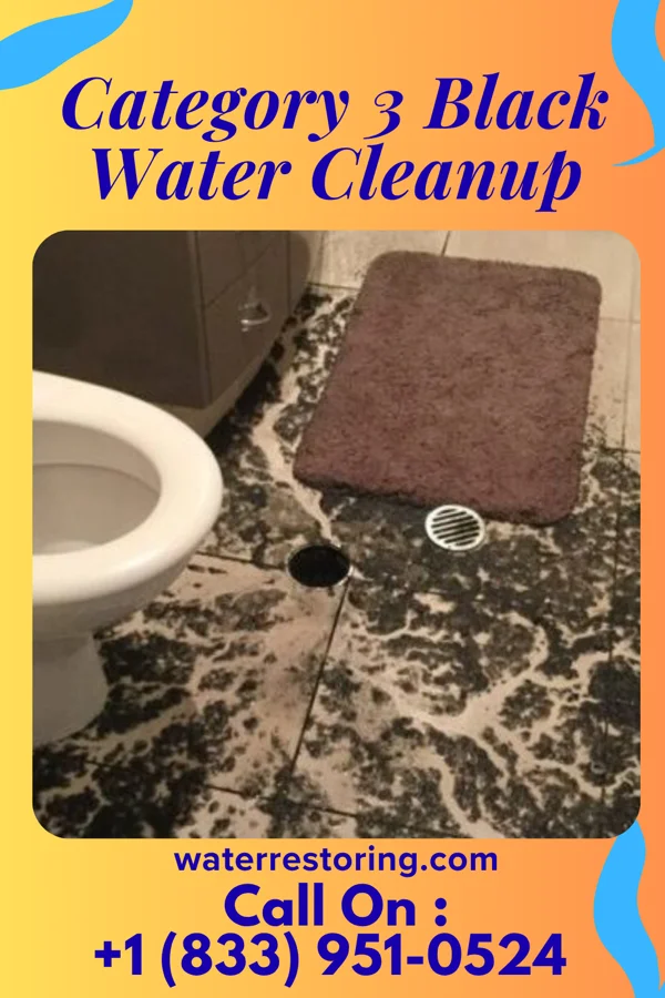 Category 3 Black Water Cleanup in Denmark, SC