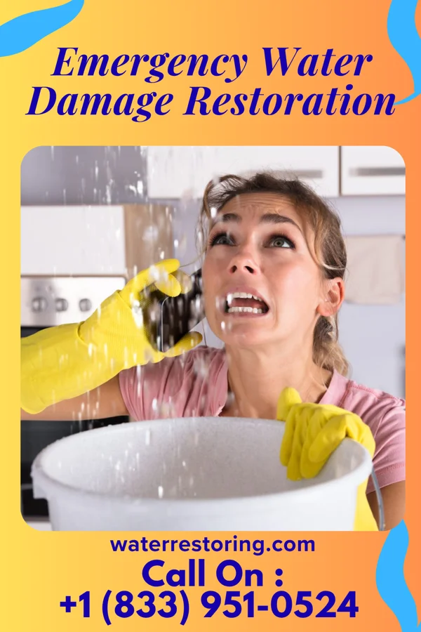 Emergency Water Damage Restoration in Denmark, SC