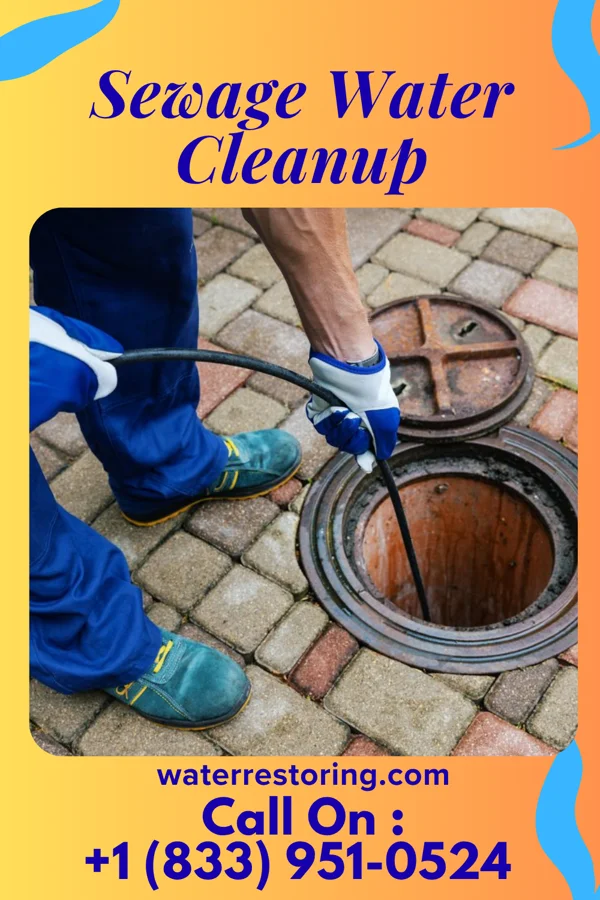 Sewage Water Cleanup in Denmark, SC