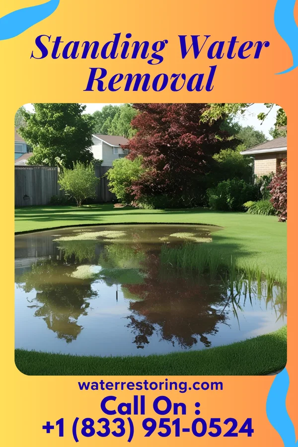 Standing Water Removal in Denmark, SC